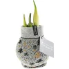 Amaryllis mit Socke gewachst ca 32 cm*Plantiflor Best