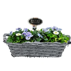 Plantiflor Bepflanzte Gefäße rechteckig