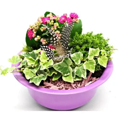 Bepflanzte Gefäße mit Oster-Deko^Plantiflor Outlet