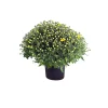Plantiflor Chrysanthemen-Busch Topf Durchmesser 19 cm
