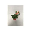 Plantiflor Gourmet Erdbeere Topf Durchmesser 12 cm
