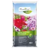 Balkon-/Kübelpflanzenerde 40L*Plantiflor Online
