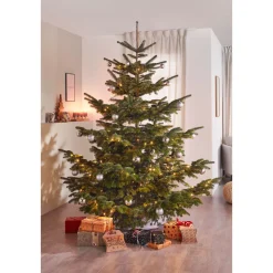 BIO Nordmanntanne 150-190 cm^Plantiflor Best