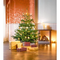 Plantiflor Nordmanntanne Silber-Qualität 150-190 cm