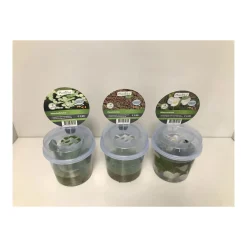 Plantiflor Schwimmpflanzen im Becher Topf Durchmesser 13 cm