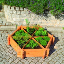 Kräuterhexagon Julia^Promadino