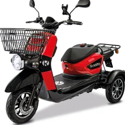 E-Carrier 25 V.3 Lithium, Rot, ohne Koffer, 60V-32,5Ah Akku, 1000 Watt^Rolektro