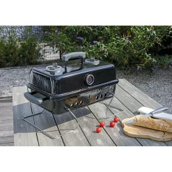 Rothmann Holzkohlegrill Springfield 43,3 x 30 x 30,5 cm schwarz