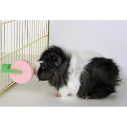 Salzleckstein mit Halterung 80 g^ Discount