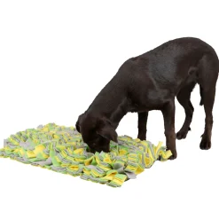 Schnüffelteppich 70 x 50 cm mehrfarbig* Clearance