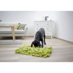 Schnüffelteppich 70 x 50 cm mehrfarbig* Clearance