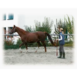 Softlonge 8 m schwarz-rot^ Best