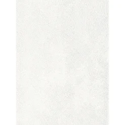 Specht Ambiente Paneel 10mm weiß Struktur