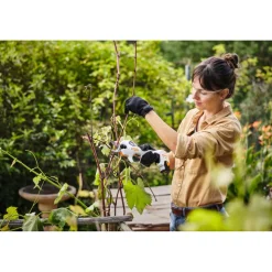 Stihl Akku-Astschere ASA 20 Set