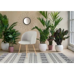 Stuhl „Celina 210“, 2er-Set, grau^ Outlet