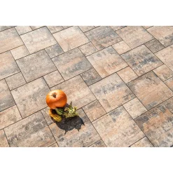 Terrassenplatte No 1 Multi Mehrformat Muschelkalk^ Online