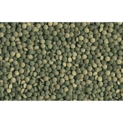 Fischfutter Pleco Tablets 58 Tabletten*Tetra Outlet