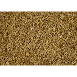 Schildkrötenfutter Anchovies 1 L^Tetra Clearance