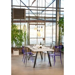 Tischpl Eiche 2 Laengsk Baumkante roh gezinkt 1600 x 800 x 26 mm* Sale