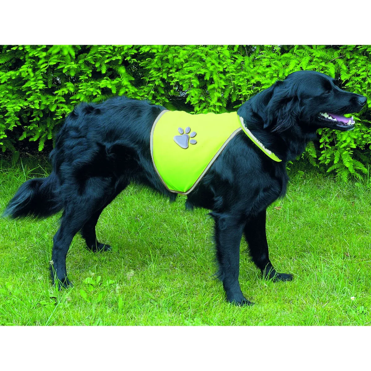 Dog Sicherheitsweste für Hunde XS^Trixie Online