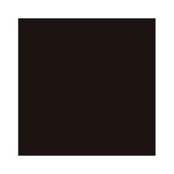 2in1 Buntlack schokobraun glänzend 750 ml^Vincent Online