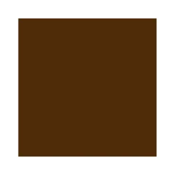 2in1 Buntlack Spray Nussbraun glänzend 400 ml*Vincent New