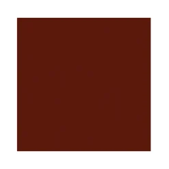 2in1 Fußbodenfarbe oxidrot 750 ml*Vincent Outlet