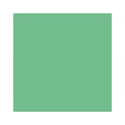 Vincent Markierungs Lack seidenmatt leuchtgrün 500 ml