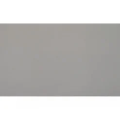 Vincent Renoviervlies