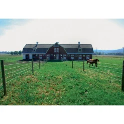 Weidezaun Top Line Horewire 200 m weiß^ Hot