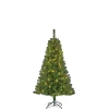 Weihnachtsbaum Charlton HxD155x91cm LEDgruen 100L Tips 340^ Discount
