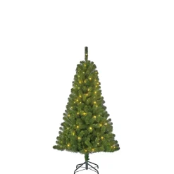 Weihnachtsbaum Charlton HxD155x91cm LEDgruen 100L Tips 340^ Discount
