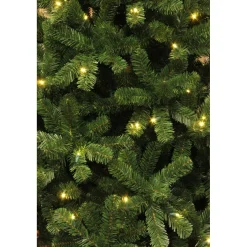 Weihnachtsbaum Charlton HxD155x91cm LEDgruen 100L Tips 340^ Discount