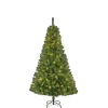 Weihnachtsbaum Charlton HxD185x115cm LEDgruen 140L Tips 525