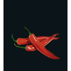 Glasrückwand Hot Peperoni 60 x 70 cm^Wenko Discount