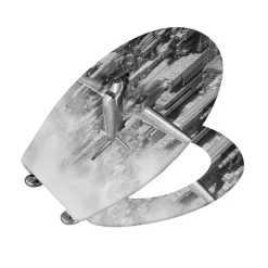 Premium WC-Sitz Old-Time Plane antibakteriell mit Absenkautomatik*Wenko Hot