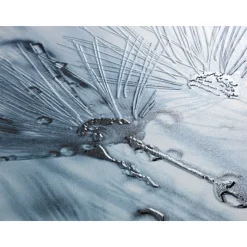 WC-Sitz Sereno mit Relief^Wenko Best