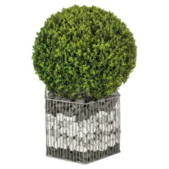 Gabionen-Pflanzgefäß Montana M^Wilk Best