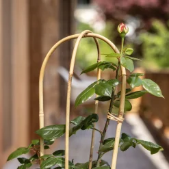 Windhager Bambus-Rankbogen 90 cm