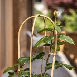 Bambus-Rankbogen 60 cm^Windhager Clearance