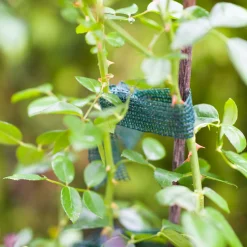 Baumanbinder 3x3 m^Windhager Best