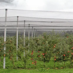 Windhager Hagelschutz-Netz 5x2 m grün Maschenweite 8 mm