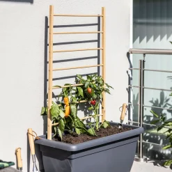 Windhager Holz-Rankhilfe Leiter 60x120 cm