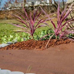 Mulch-und Unkrautvlies 10x0,9 m*Windhager Online