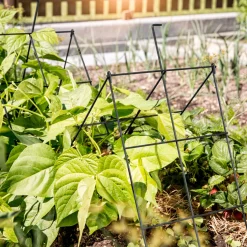 Windhager Rankgitter klappbar 30x100 cm