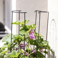 Ranksäule 2-teilig 125 cm*Windhager Best