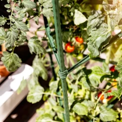 Windhager Tomaten-Rankturm 150x30 cm