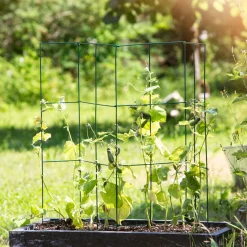 Tomaten-Turm 35x35x118 cm 4-teilig^Windhager Hot