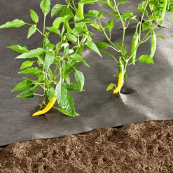 Unkrautvlies 10x1 m 50 g/m²^Windhager Online