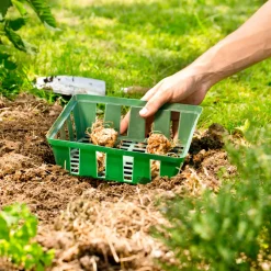 Zwiebelschalen 23,5x21 cm 3 Stück*Windhager New